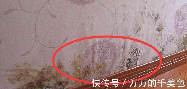 阳台上|当年装修草草了事！一连中了17个装修坑，钱钱花了不说还遭罪