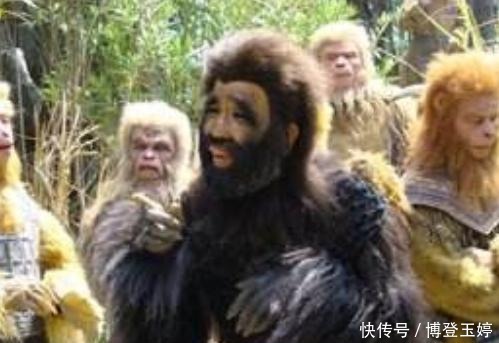 厉害|花果山最厉害的猴子不是孙悟空?你看看这三只猴子怎么样