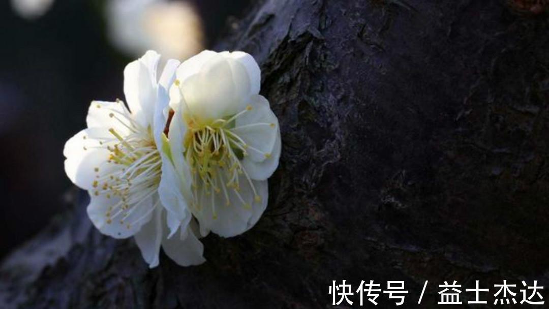 山居$宋朝诗人吴涛这首《山居》,看似写得很一般,其实句句令人惊艳!