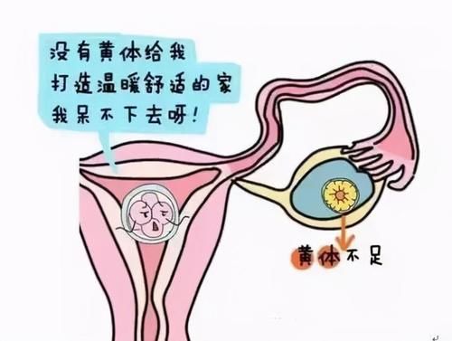 卵巢|女人“黄体酮”不足会长斑？常吃5种食物，补充雌激素，淡化雀斑