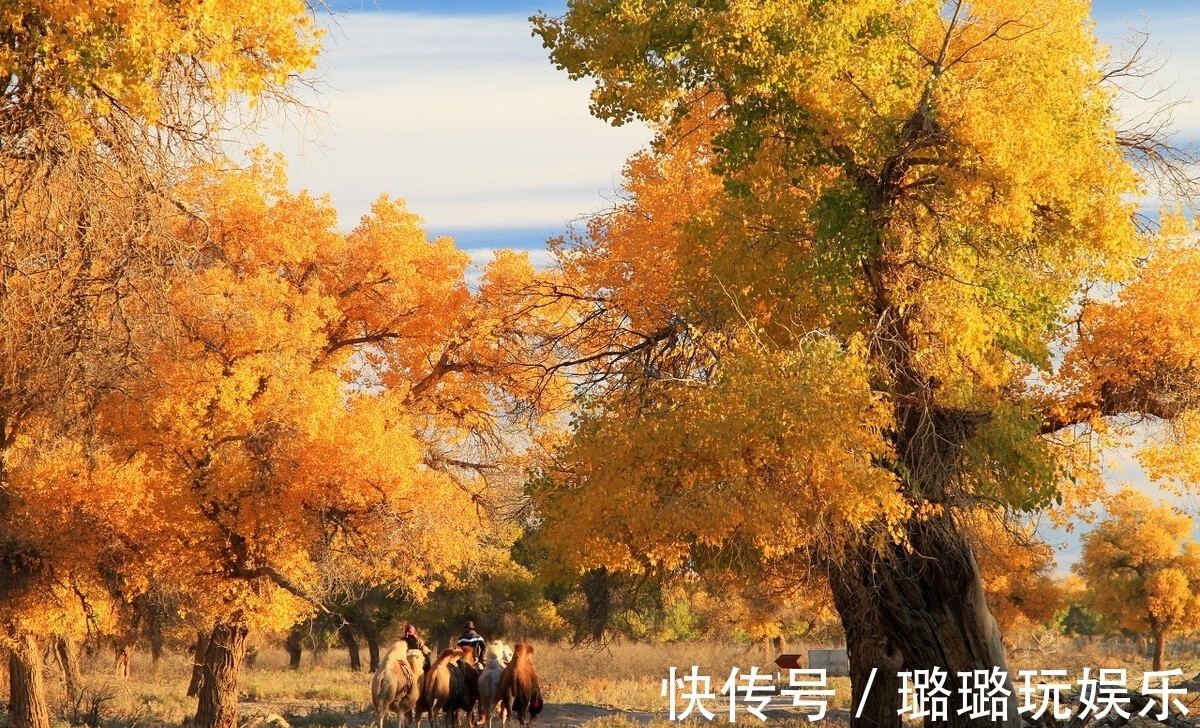 额济纳|额济纳：内蒙古面积最大的旗县，世界三大胡杨林之一的壮阔景色