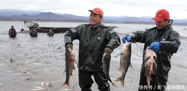 实在|古语“开江鱼、下蛋鸡、回笼觉、二房妻”,古人的智慧,句句实在