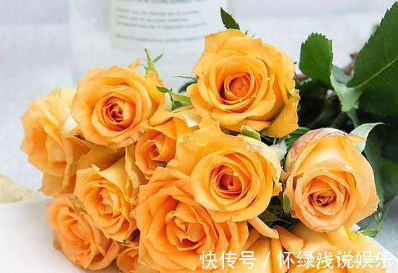 喜欢玫瑰,就养盆“高档玫瑰”假日公主,花开金光四射,高雅纯洁