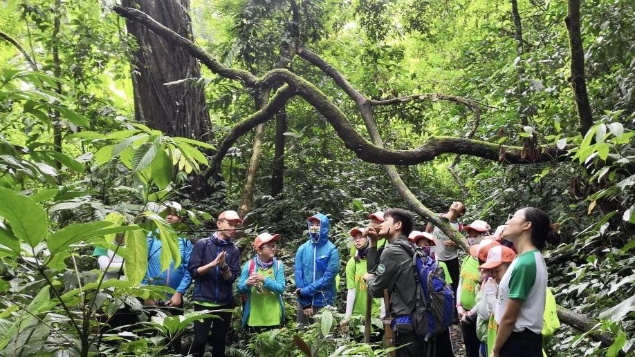 仙境热带雨|星空露营：帐篷是孩子的豪华城堡，也是他们的全世界