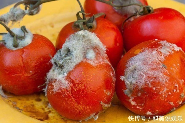 妙用|烂了的西红柿不要扔，其实比新鲜的还“值钱”，学到就是赚到！