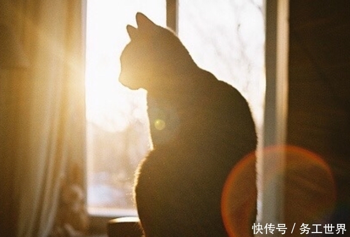 喜怒无常|猫汤:真正的恶魔往往带着微笑面具,人生就像喜怒无常的游戏