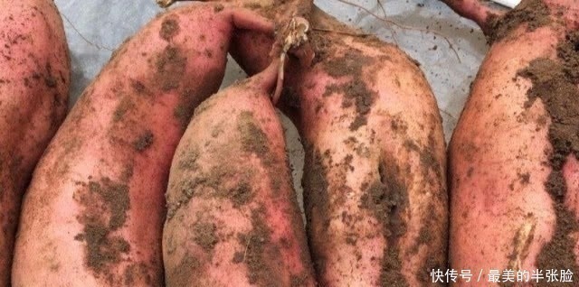 忌嘴|怀孕后,4种食物要忌嘴,对你和胎宝宝的健康都没好处!