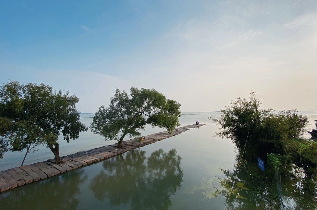 赏樱胜地拈花湾，带你“梦回大唐”