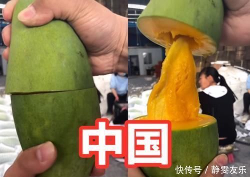 各国|各国吃芒果,日本蘸辣椒,泰国凉拌,看到印度不敢挑战