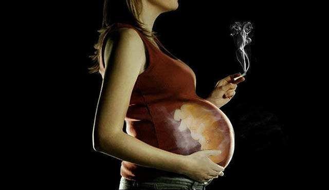 判断|胎盘是否老化怎么判断?关系胎儿发育的关键,孕妈不可大意