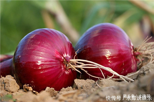 畸形|洋葱如何保鲜出现畸形该怎么办农户给出了几个解决方法
