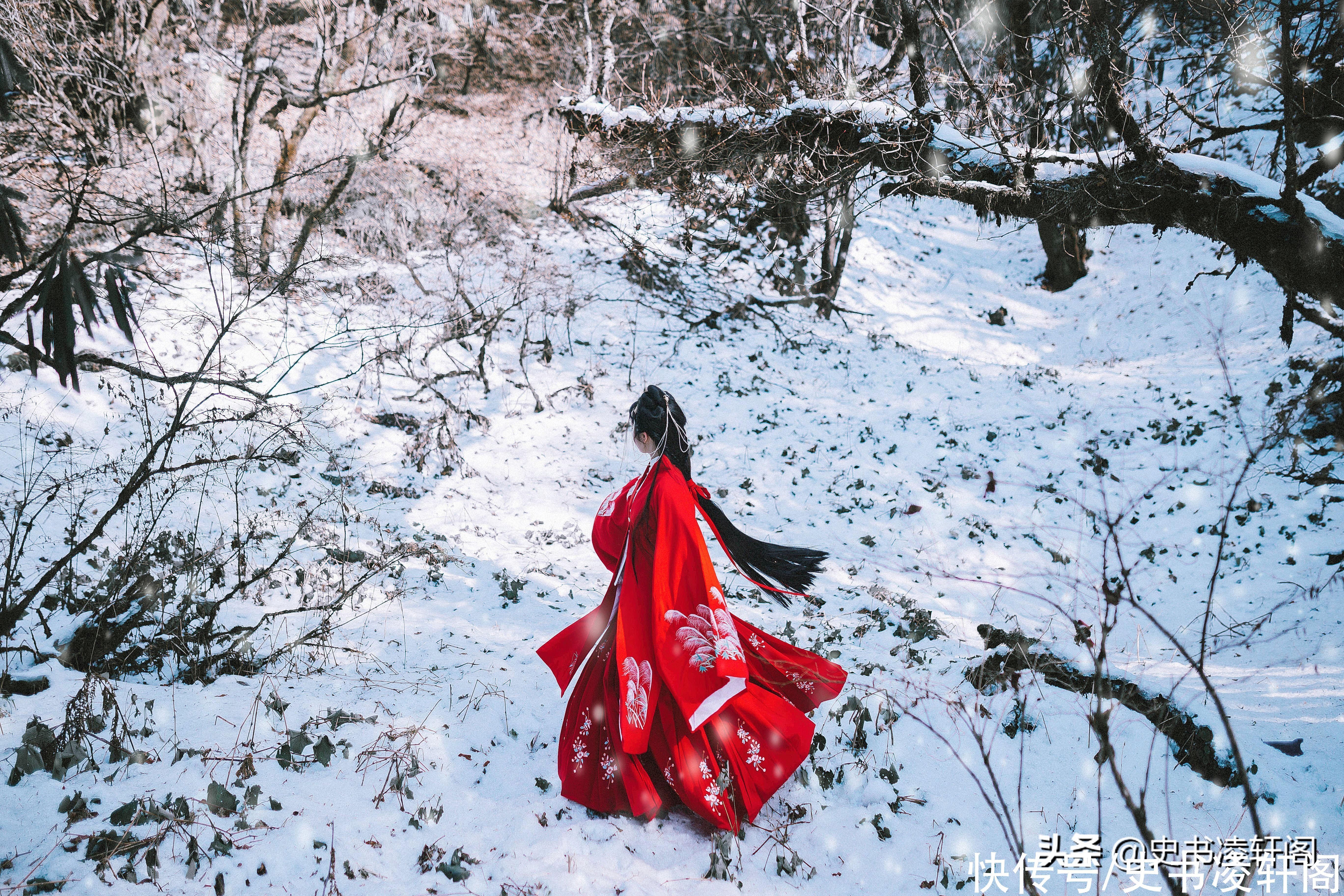 浮生|浮生只合尊前老，雪满长安道——关于冬天和雪的七首经典古诗词