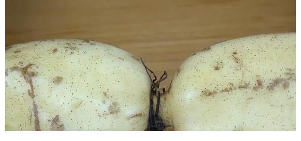 莲藕|进入秋天,一定要给孩子多吃这一宝,脾胃好,睡得香,提高免疫力