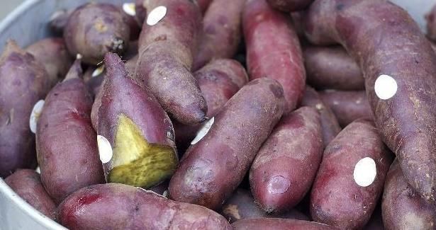 紫菜|家家户户厨房都有的几种蔬菜，快告诉身边人！别再吃了！