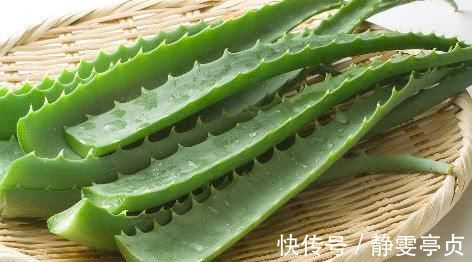 含有|便秘的“克星”来了, 每天吃两口, 快速通便, 肠道越吃越通畅!