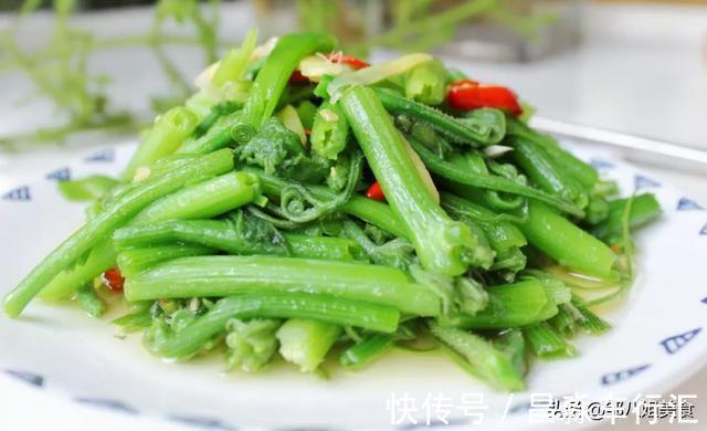 炒南瓜藤|伏天多吃蔬菜，这个菜应季正当时，简单一炒，鲜嫩爽口，解腻开胃