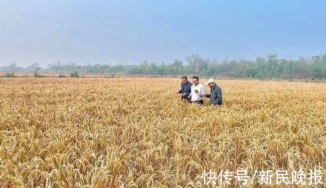 陳建軍|11月15日·上海要聞及抗擊肺炎快報