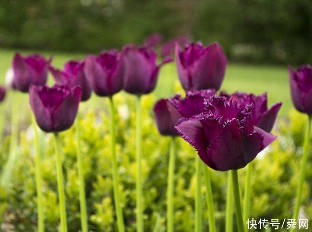 7月开始，复合旧爱，不离不弃，鸳鸯戏水，再续深情的生肖