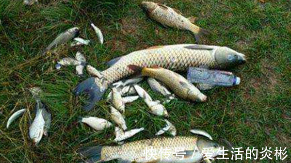 详解跑铅钓和双铅钓要领,夏季野钓风浪天,最实用的两种钓法