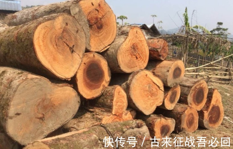 木屋$老农住价值8亿金丝楠木木屋,100万卖给投资商,今搬回乡下盖新房