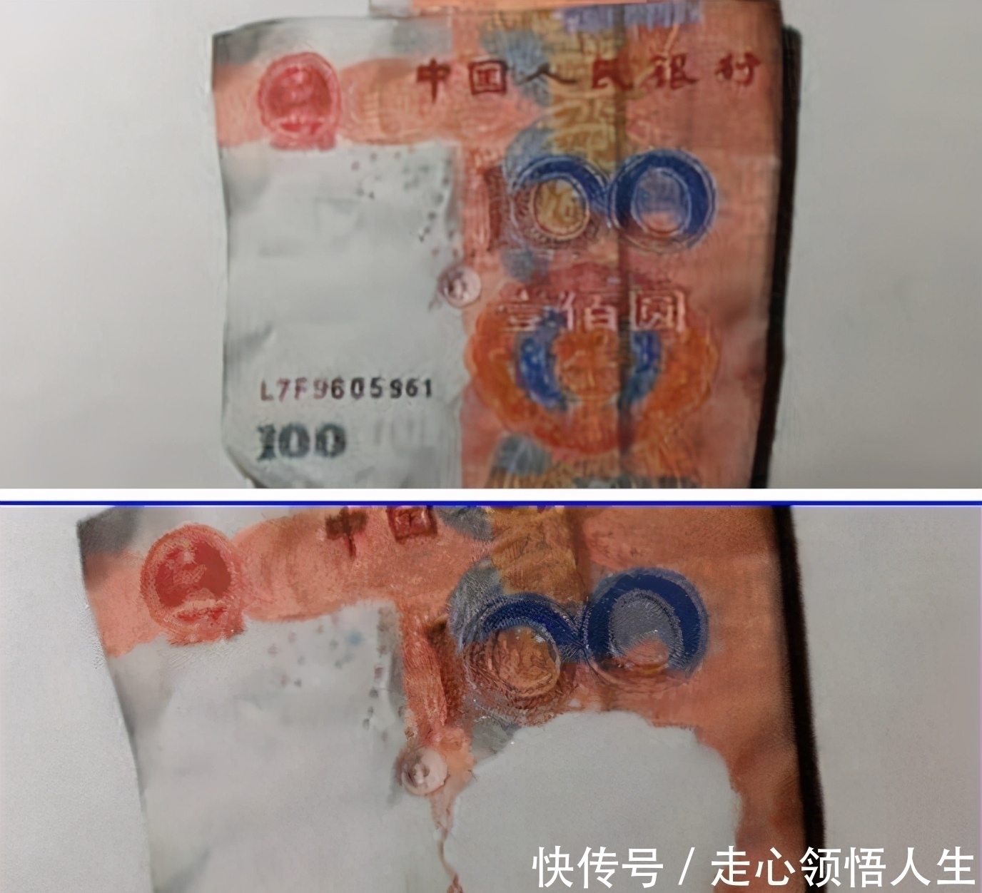 时光倒流@美术学霸作业走红,老师直夸难辨真假,网友:神笔马良再世