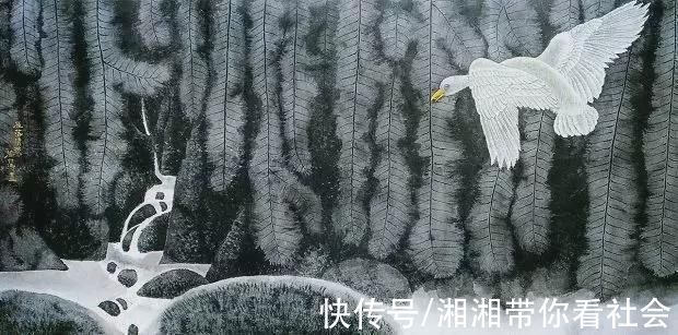 工笔花鸟画&南方观察刘怡涛:西双版纳国画家在深圳举办工笔花鸟新作展