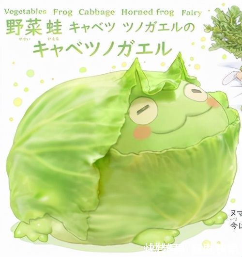 精灵|世界上最菜的狗能有多菜?这个日本人给出了意想不到的答案