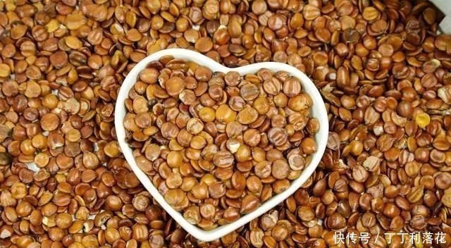 替代品|安眠药“替代品”被找到,早晚喝两口,养血安神,睡眠或不堪忧