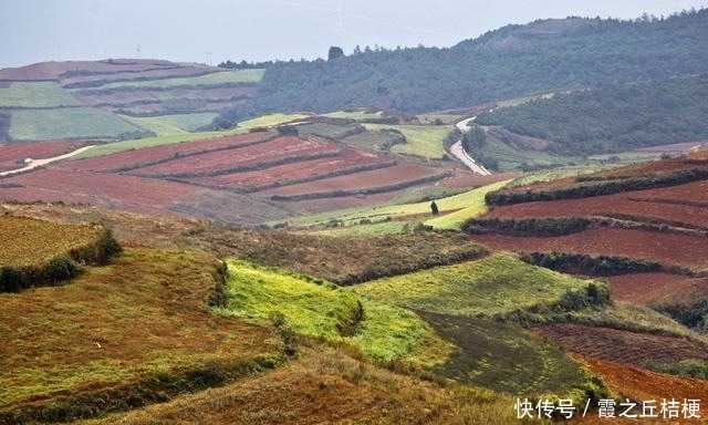 神奇的土地，浓烈的色彩，完美的线条，东川红土地