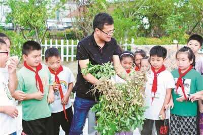 基础教育|“双减”之后：社团兴趣班成中小学生好去处