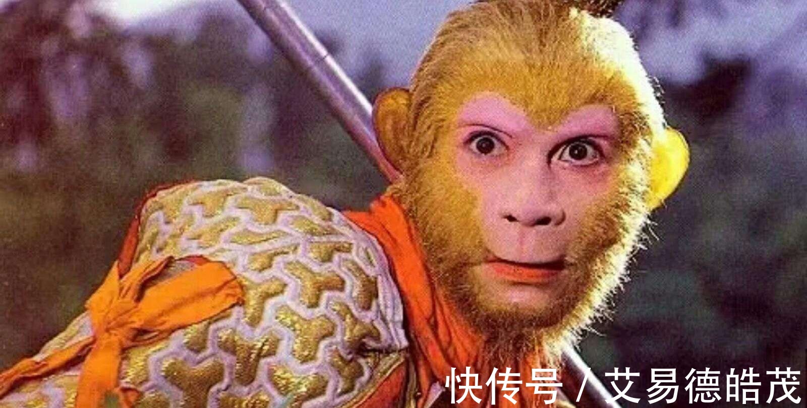 孙影|孙悟空共有4位徒弟，一人一神一佛一魔，一个比一个猛！