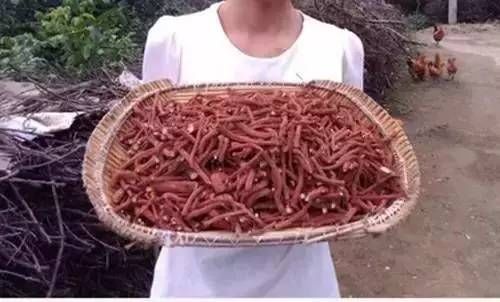 强心|常见的一种中药,有助活血、健脑、强心、生肌,辅助防治心血管病