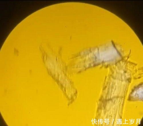 姜子牙封神竟把自己给忘了,怎么办他灵机一动,成为众神之神!