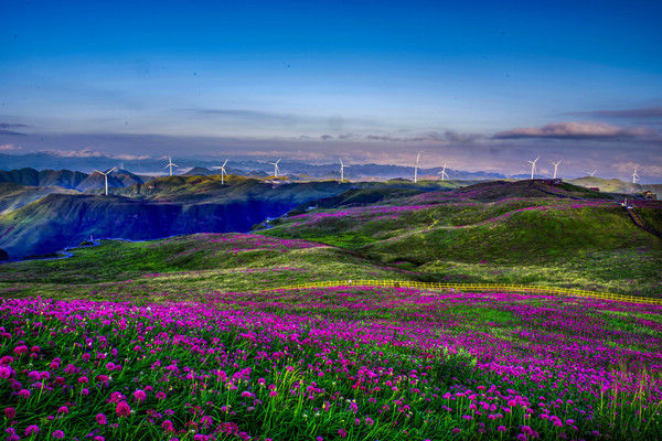 李学友|贵州毕节：发展旅游产业化实现富民增收