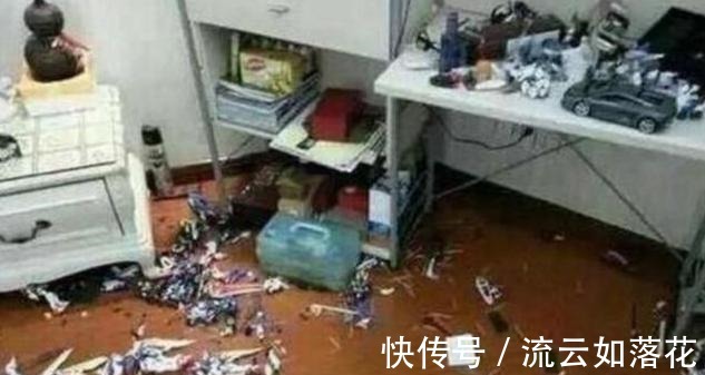 熊孩子|“一堆破塑料,你想讹钱”,熊孩子弄坏20万手办,父母拒不赔偿