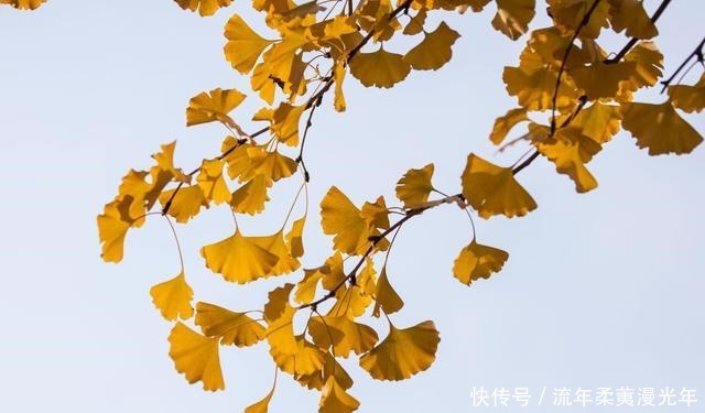 福报|掌门说人到四十,莫做四事,尤其是第二件,极损你的福报