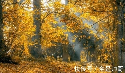 惆怅@许浑羁旅思归,惆怅地吟诵了一首五律,结尾两句更显出人意表