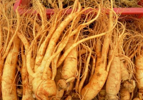 燥湿利水|中医养生：补气中药“26味”，建议收藏