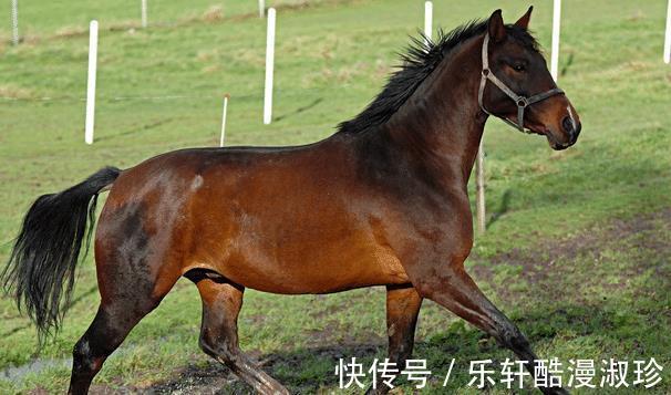 生肖|8月下旬，厚积薄发，3生肖好运回归，美梦成真，事业准备大翻身