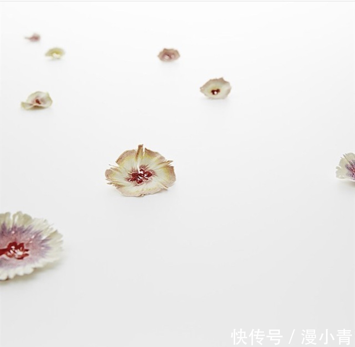 纸花$铅笔也能削出花来,这样的削铅笔达人,应该是一个喜欢二次元的人