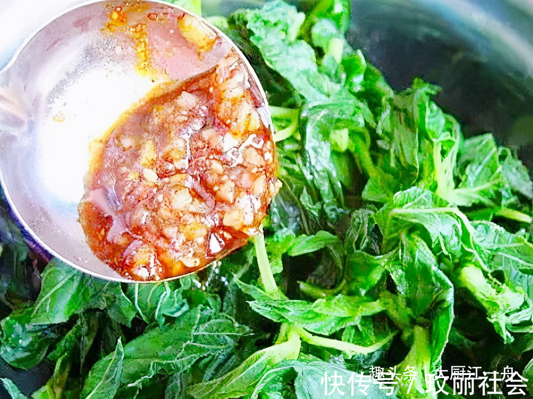 浑身|农村的这种野菜浑身都是宝,可惜很多人当草,夏季多吃一些防上火