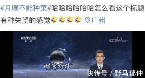 不管多难养的花,浇水时加点它,不黄叶还不烂根,比花肥还好用