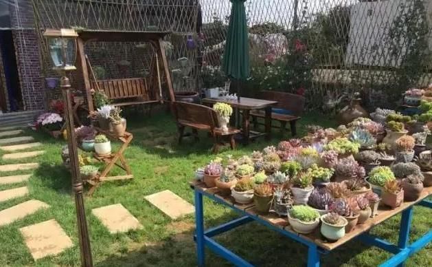 平淡|养肉人的梦想:建一座真正的多肉花园,把平淡的日子过成诗!