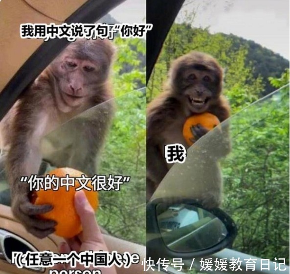 |汉语多难学,硬是把外国人逼成段子手,好像当年学英语的我们