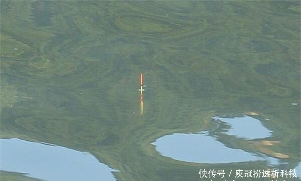 浮漂|调个漂要半天按照步骤来，简单快速，肯定错不了