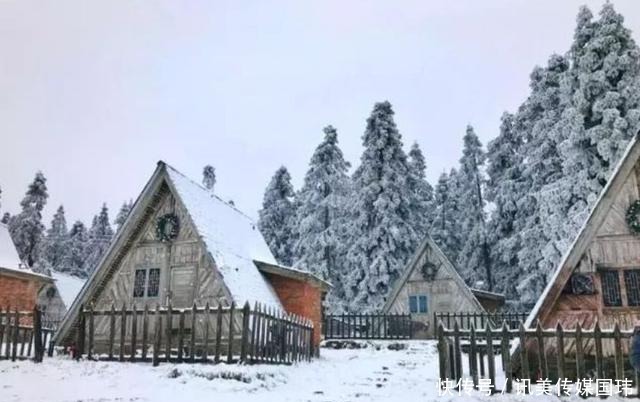 重庆周末去赏雪：新一轮降温后，雪漫人间！这些地方都可以赏雪