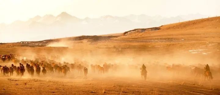 河西走廊|两千年前,河西走廊的“F4”天团出道