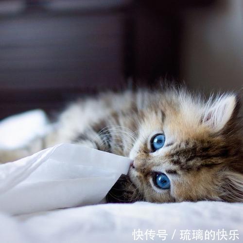 |幽默笑话:一次语文老师的课,听写到“惠”字的时候我懵逼了