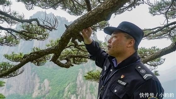 景点|国内景点 这棵树警卫把守不让靠近拍照, 游客质疑这棵树是假的