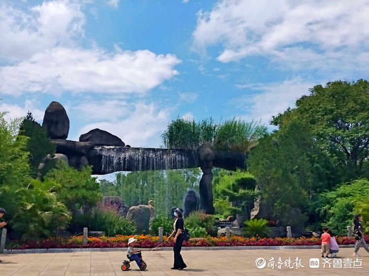 蓝天白云微风爽，荷花灼灼香满塘！济南泉城公园夏景如画|情报站| 齐鲁壹点